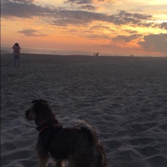 Meet your Posher, Joanne - Picture 6 of 8